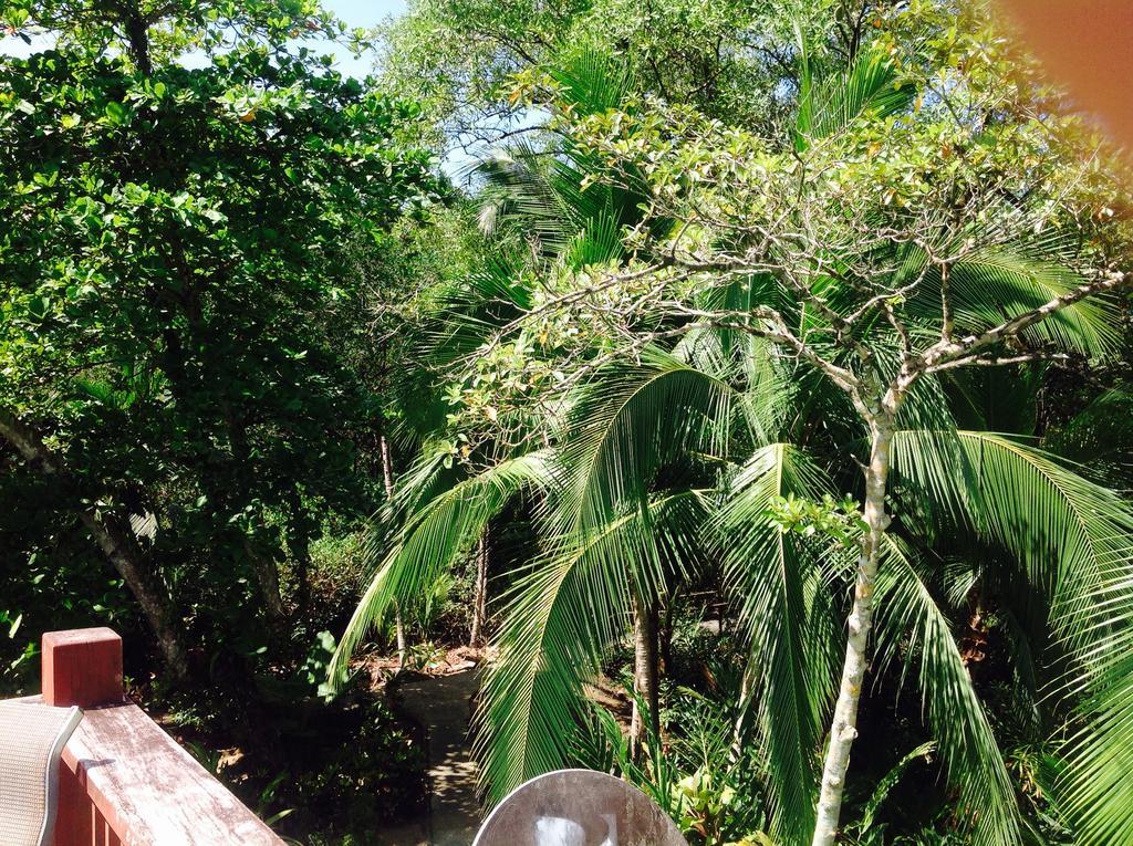 Casa Manglar Villa Puerto Jiménez Extérieur photo